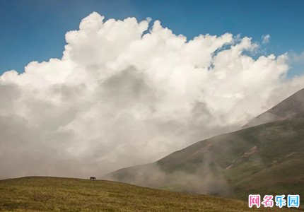 ��������������΢���ǳƾ�ѡ60��
