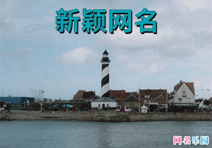 新颖网名