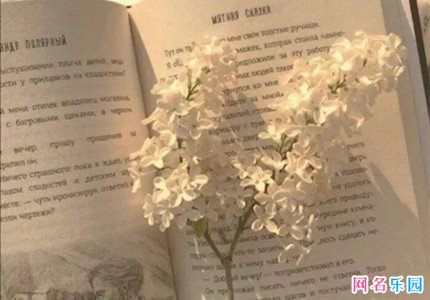 一眼就吸引人的网名五个字