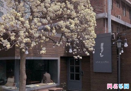 有气质新颖的两个字网名70个