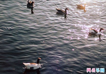 4-5个字好听的昵称 4-5个字的游戏昵称