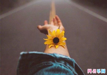 落入凡间的神仙网名女生