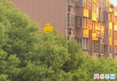 有朝气的2字网名