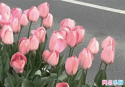 ���뷲���������������