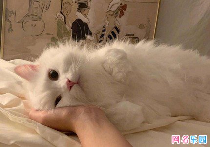 给媳妇的备注大全搞笑 给老婆的微信备注名幽默的