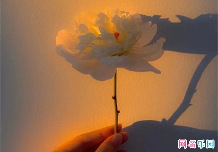 �����Ա��ǳ� �Ա��ǳƼ򵥴�