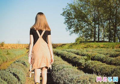 比较特立独行的网名