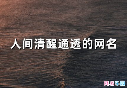 人间清醒通透的网名