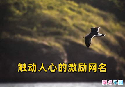触动人心的激励网名