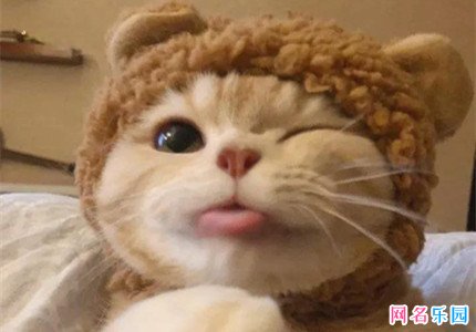 皮到挨揍的女生网名