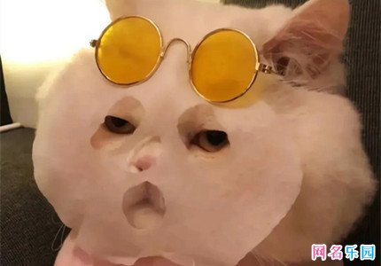 又皮又社会又可爱的网名情侣