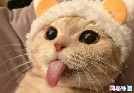 有趣网名中二 可爱又中二的网名