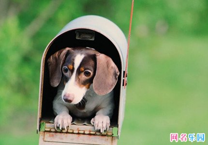 5���ֺ�������Ϸid ��Ϸ�ǳ�ȡʲô����5����