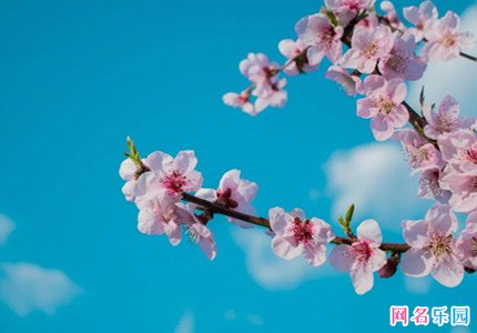 四字有诗意优雅女生网名