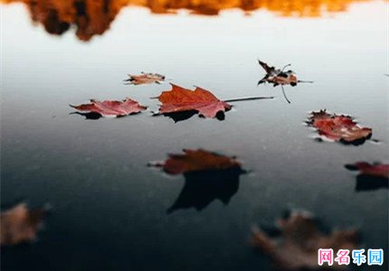 视频号取名大全最新 适合女生的视频号名字