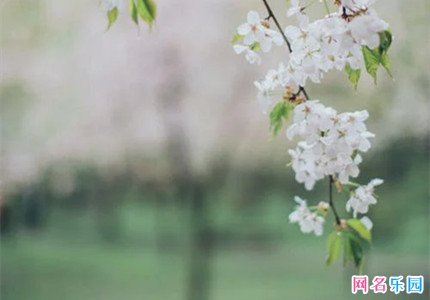 古风网名淡雅脱俗