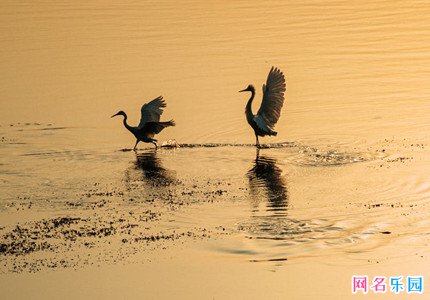 ���ŵ��Ա��ǳ� ���⾳���Ա��ǳ�