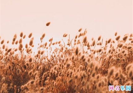 伤感优雅的五字网名