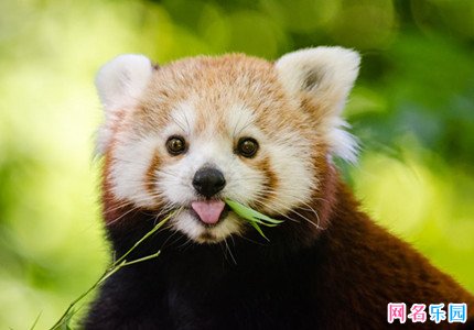 皮到容易挨揍的网名 皮到挨揍男生网名