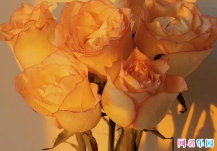 古风的情侣名字最新