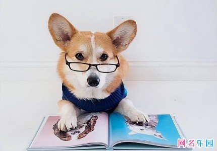 搞笑扣扣网名六个字 六个字幽默搞笑网名