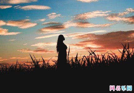 最受欢迎的抖音情侣网名