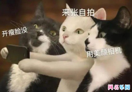 霸气神经病的网名 表示自己神经病的网名