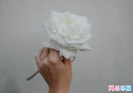 小众不常见的四字网名