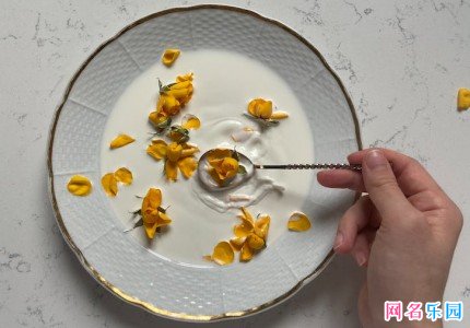 佛系不染世俗的网名两字