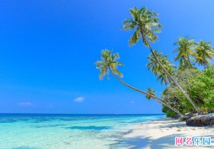 �˼��˰��ĺ������� �˼��˰�΢������