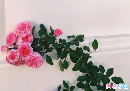 浪漫而不烂俗的情侣网名
