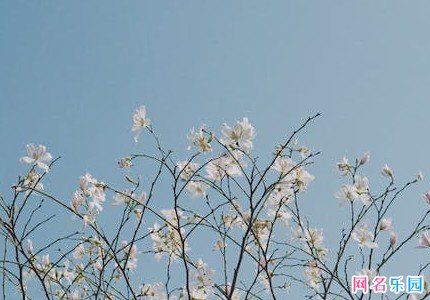 六字游戏网名大全唯美