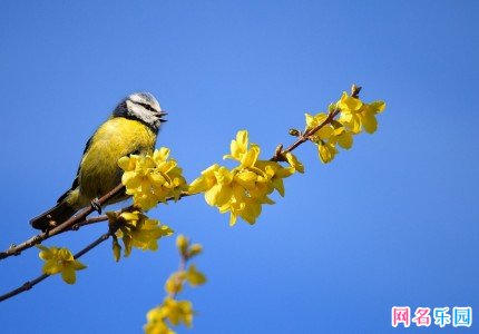 ����еĹŷ�����
