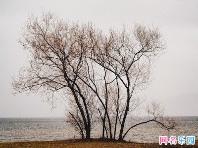 无人理解自己的网名