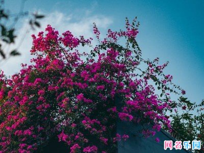 高级感拉满的情侣id