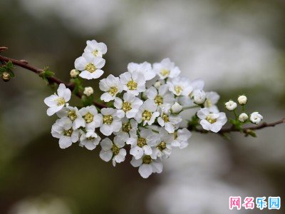 有少女感的甜酷网名
