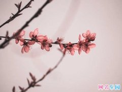 �����Ķ���Ӣ������