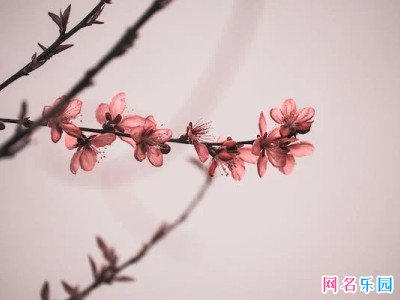 �����Ķ���Ӣ������