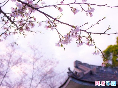古诗词拆开的情侣名