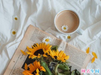 阳光少女感网名 小众少女感网名设计