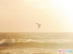 ���ʺܳ��ڵ�Ů������41��