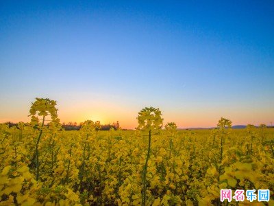 个性网名四字最新