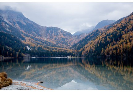 һ������˧�����Ϸid��ѡ52��