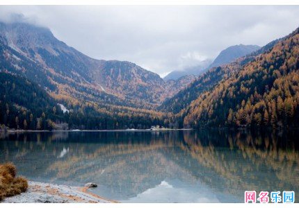 һ������˧�����Ϸid��ѡ52��