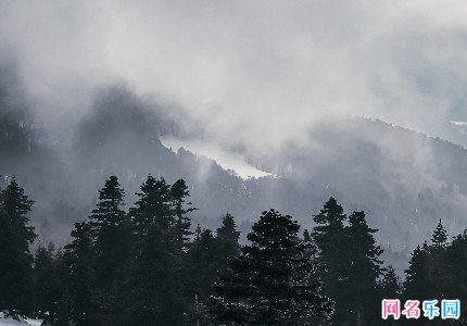 古典风格的网名精选42个 古典风格的网名精选42个