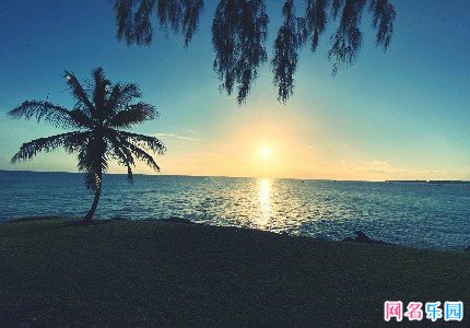 弱智网名昵称大全设计43个 弱智网名昵称大全设计43个