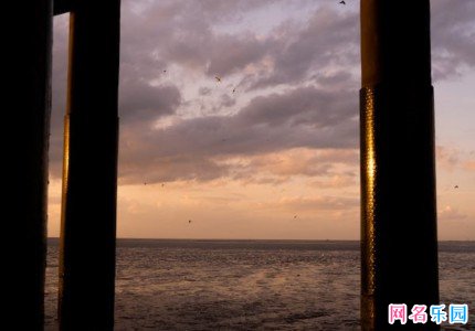 �ҵ���������id��������ѡ60��