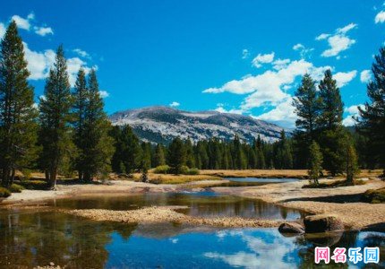 �˸�����id��ѡ61��