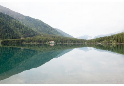�ŷ���ϵ��������¾�ѡ42��