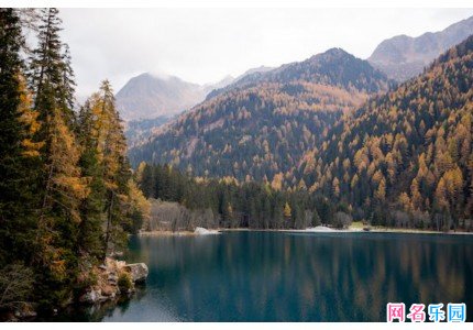3���ֵ������򵥸ɾ�������ѡ46��